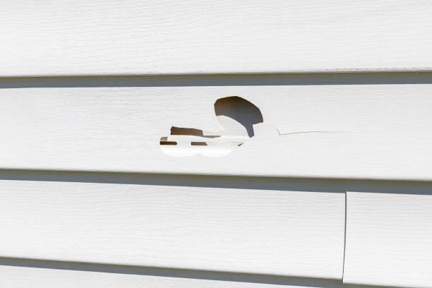 Best Storm Damage Siding Repair  in Mattawan, MI